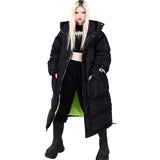 デビルキャットパファー